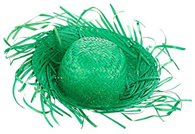 DEGUISE TOI - Chapeau Hawaï Vert Adulte - Chapeau - Taille Unique - Vert - Accessoires pour déguisement - Paille - - Carnaval