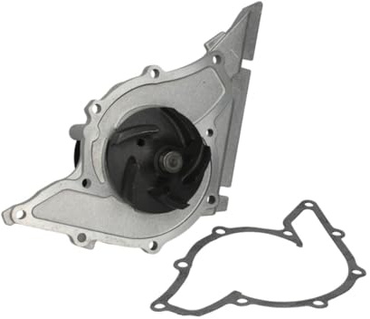 Hepu P579 Wasserpumpe