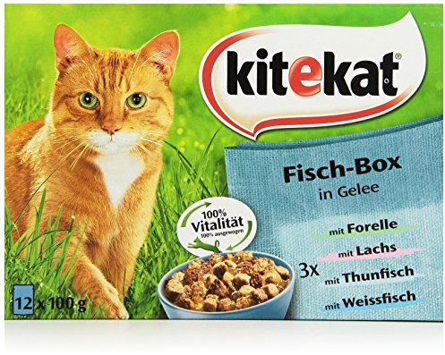 Kitekat Katzenfutter Fisch-Box in Gelee, 12 Stück (12 x 100 g)