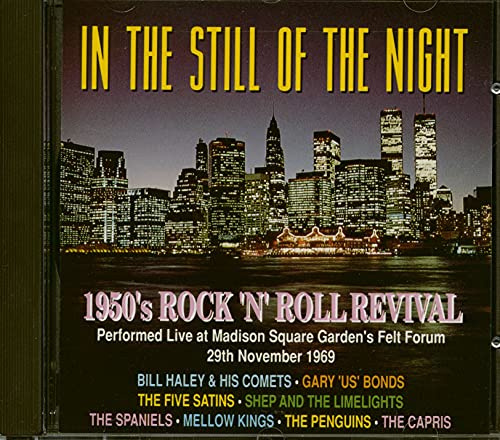 In the Still of the Night