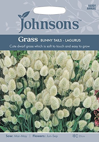 Johnsons 12654 Flower Seeds, Grass Bunny Tails-Lagurus, White