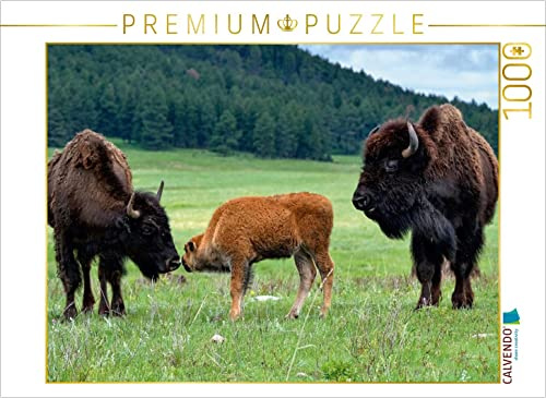 CALVENDO Puzzle Bison Familie im Custer State Park | 1000 Teile Lege-Größe 64 x 48 cm Foto-Puzzle für glückliche Stunden