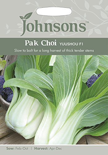 Johnsons PAK Choi Yuushou F1