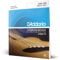 D'Addario EPBB170 Phosphor Bronze Akustik Bass Saitensatz 0,11 cm - 0,25 cm (.045 - .100 Zoll)
