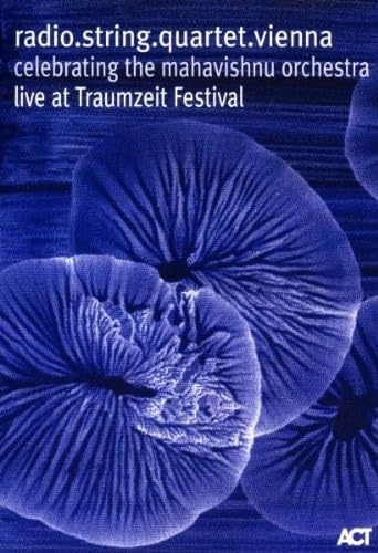 radio.string.quartet.vienna - Live At Traumzeit Festival