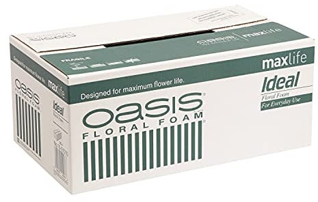 Smithers Oasis Lot de 20 Blocs de Mousse pour présentations Florales