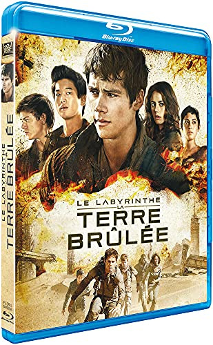 Le Labyrinthe : la terre brûlée [Blu-ray]