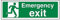 VSafety 21015AX-S - Cartello per uscita di emergenza, con scritta in lingua inglese “Emergency Exit”, orizzontale, in vinile autoadesivo, 300 x 100 mm, verde