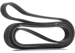 Dayco 7DPK2569 Keilrippenriemen