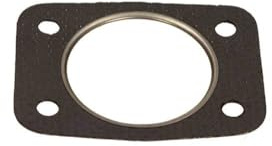 FA1 100-920 Dichtung, Abgasrohr