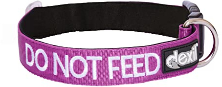Dexil DO NOT FEED (Dog is on a Diet/Has Food Allergies) Purple Colour Coded S-M L-XL Dog Collars PREVENTS Accidents By Warning Others Of Your Dog In Advance (S-M)