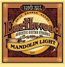 Ernie Ball Gitarrensaiten light Earthwood 2067 Mandoline 9-34 (, 2 Packungen)