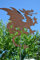 Gartenstecker Drache- Figur 60 cm-außergewöhnlicher Metallstecker - Höhe gesamt 120 cm - Fabelwesen Drache-Gartendekoration - sehr gute Qualität