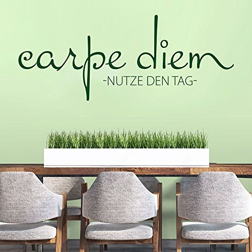 Wandtattoo Carpe Diem No.6 (Farbe schwarz/Größe 60x24cm)
