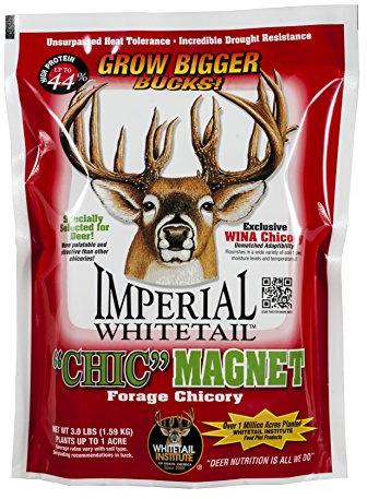 Whitetail Institute Chic Magnet Deer Food Plot Seed, WINA-100 Perennial Forage Chicory Attracts Deer and Provides Antler-Building Protein, Heat, Cold and Drought Tolerant, 3 lbs (1 Acre)