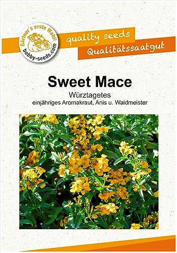 Kräutersamen Sweet Mace, Würz-Tagetes Portion