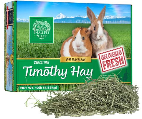 Small Pet Select 2nd Cutting Timothy Hay for Rabbit, Guinea Pig, Bunny, Chinchilla and Other Small Animals, Premium Natural Hay Grown in The US, Perfect Blend Pet Food, 10 LB (4.54kg)