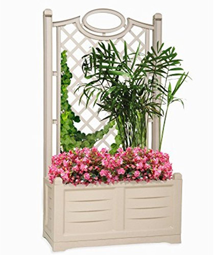 Bama Fioriera con spalliera, 80 cm