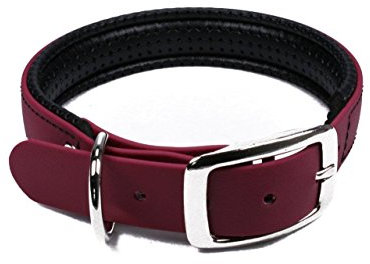 LENNIE BioThane Halsband, gepolstert, Dornschnalle, 25 mm breit, Größe 38-46 cm, Weinrot, Aufdruck möglich