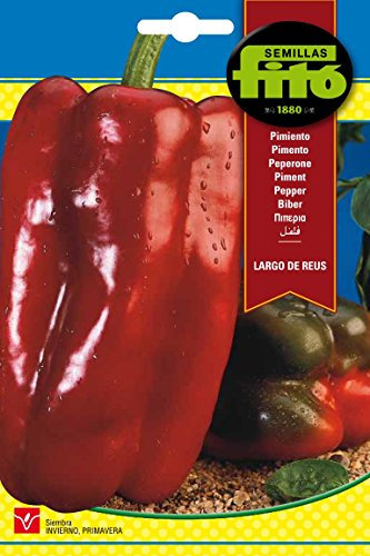 Semillas Fitó 257 - Semillas de Pimiento Largo de Reus
