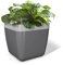Emsa myBOX Blumenkübel anthrazit/alu , Maße ca. L 350 mm x B 350 mm x T 340 mm Blumenkasten incl. Rahmen