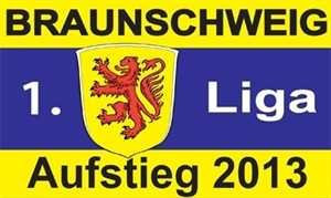 FRIP - Braunschweig Aufstieg 2013 Fussball Fahne Flagge Grösse 1,50 x 0,90m