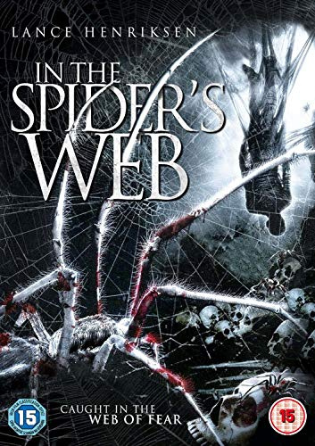 In The Spider's Web