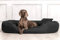 tierlando® Orthopädisches Hundebett Sammy - Robuster Polyester - Dicke Umrandung - Gr. L - XXXXL Hundesofa Hundekörbchen, mittelgroße und große Hunde, waschbar Gr. XXL 140 cm Anthrazit