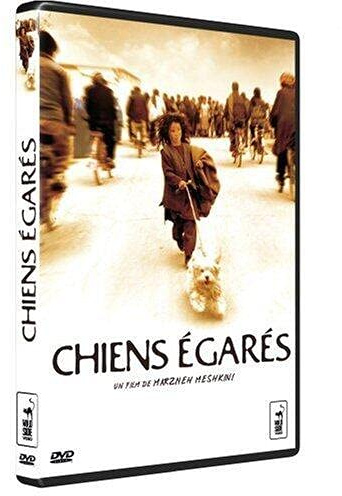 Chiens égarés [FR Import]