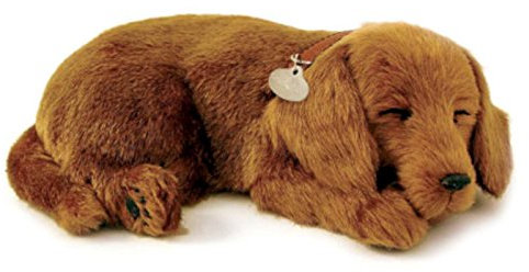 Perfect Petzzz Dachshund