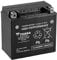 Yuasa Batteria di ricambio AGM SLA YTX14H-BS 12V