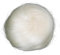 CAISHA 100% ECHTHAAR DUTT Sabrina Hochsteckfrisuren Haarteil Haarknoten Hepburn DUTT Sabrina Haargummi Platinblond H311b