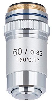 AmScope, obiettivo acromatico per microscopio composto, A60X-V300, 60X