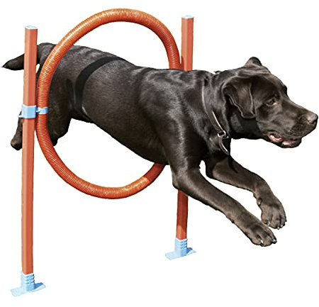 AGILITY HOOP JUMP W/BAG