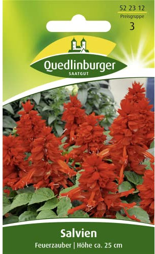 Quedlinburger