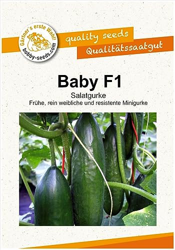 Gurkensamen Baby F1 Portion