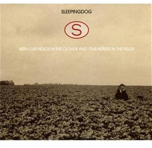 With Our Heads in the Clouds
