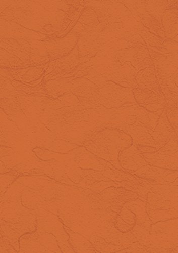 HEYDA Strohseide 50x70cm 25g orange