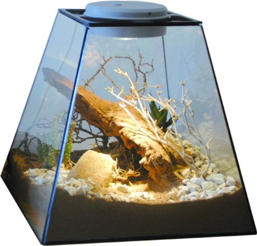 Lucky Reptile Life Pyramide Designer-Terrarium, Größe:30x30x30 cm. Halogen
