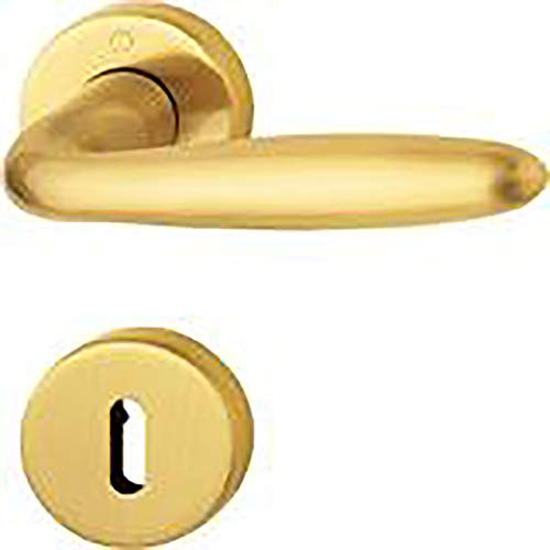 Format 4012789170535 – Garnitur RosetteM151/42KV/42kvsgrt-sstf49-r8 SK/OL