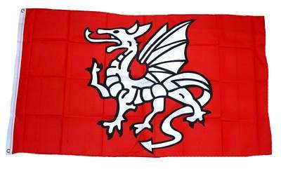 Flagge Fahne Pentragon Drache 90 x 150 cm FLAGGENMAE®