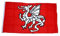 Flagge Fahne Pentragon Drache 90 x 150 cm FLAGGENMAE®