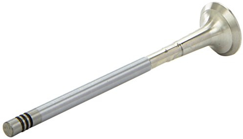 AE V95016 Auslaßventil