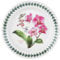 Portmeirion 520240 Exotic Botanic Garden - Platos de pan y mantequilla de 6 pulgadas - Juego O, rojo, blanco