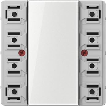 Jung LS 5071 TSM – Electrical Switch