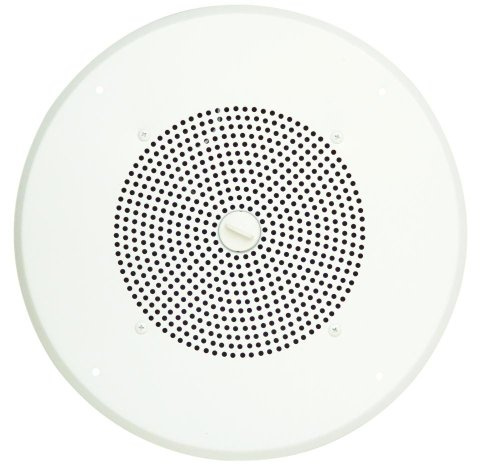 Bogen ASWG1DK - Altavoz de techo autoamplificado de 1 W, color blanco Bogen