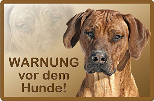 Nanyuk +++ Rhodesian Ridgeback - Metall Warnschild Schild Hundeschild Sign - RRB 42 T57D