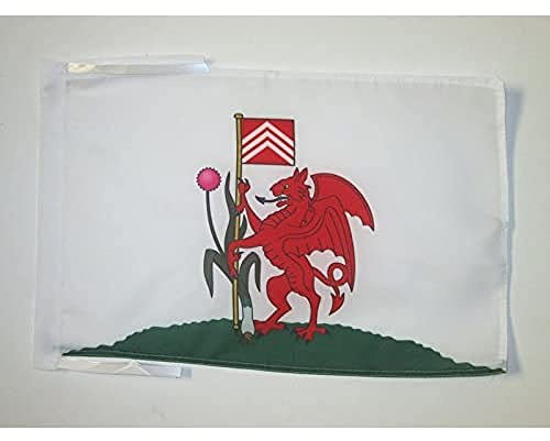 AZ FLAG Cardiff Flag 45x30 cm Cardiff Banner 100D Polyester Cords | Indoor and outdoor use 12x18 in decorative flag double stitched seams and reinforced edges with ties