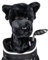 Daphne Labrador Nero, Copritesta Unisex Adulto, Taglia Unica
