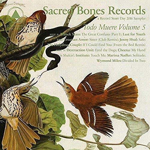 TODO MUERE VOL 5 / VARIOUS